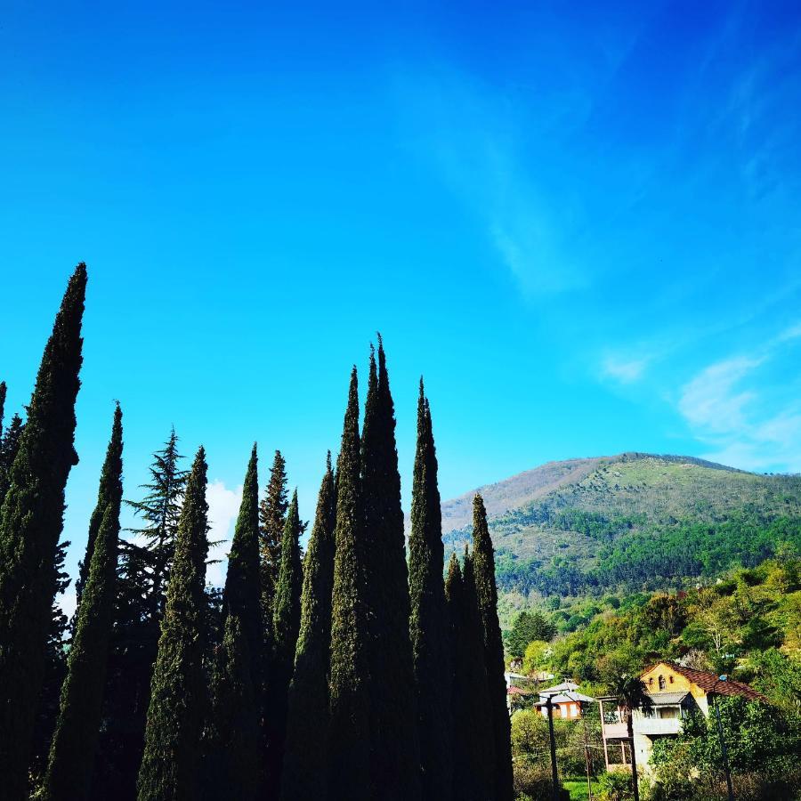 Gega Hotel Гагра Екстер'єр фото