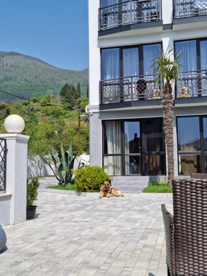 Gega Hotel Гагра Екстер'єр фото